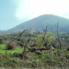 2007.04.01. - Samothraki